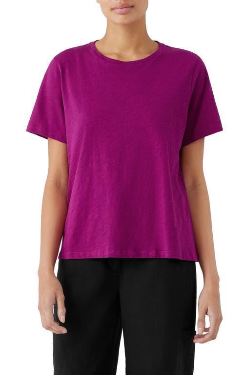 Eileen Fisher Crew Neck Tee (Seastar) Women's Clothing Product Image