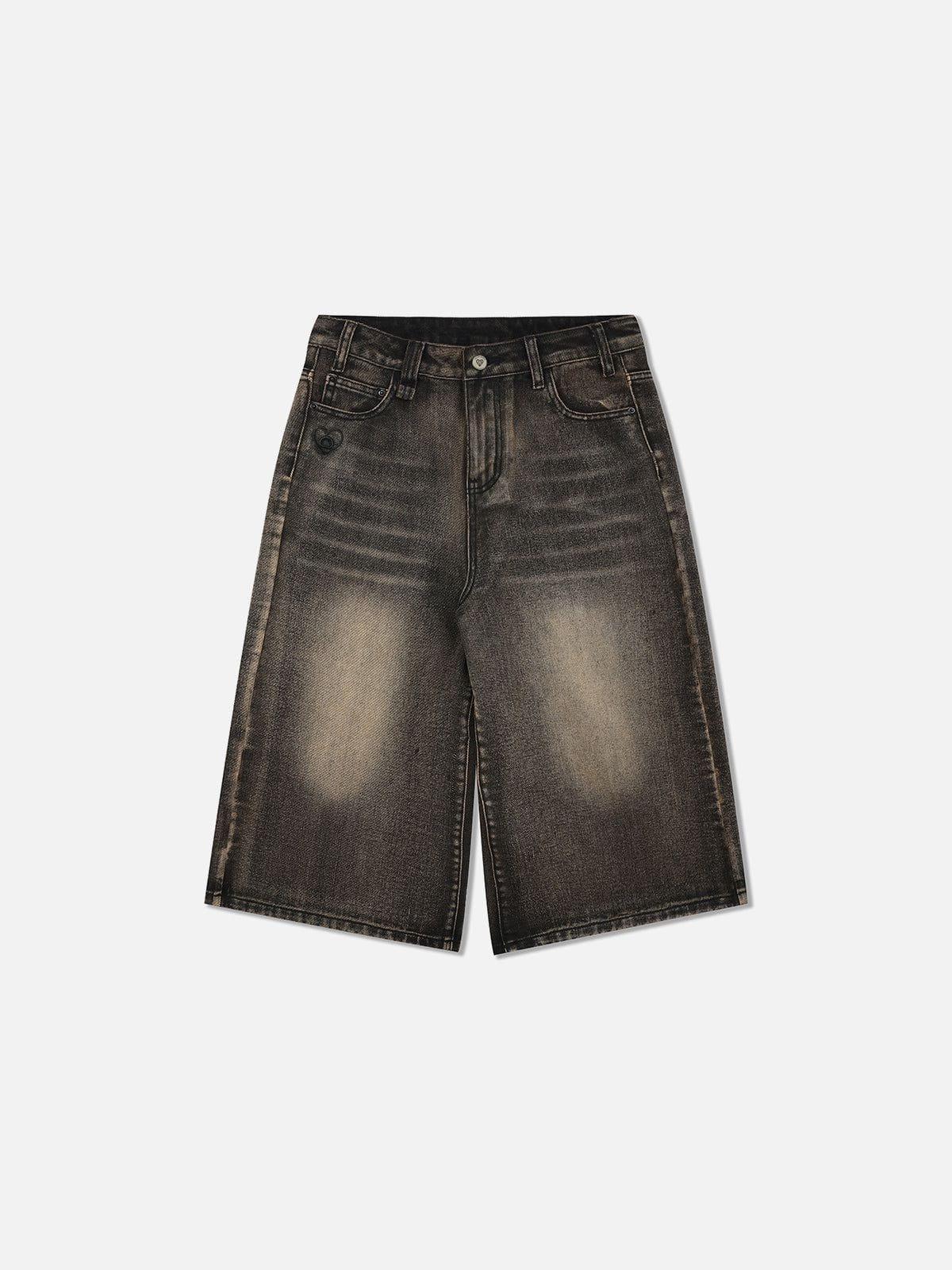 Aelfric Eden Vintage Washed Jorts Product Image