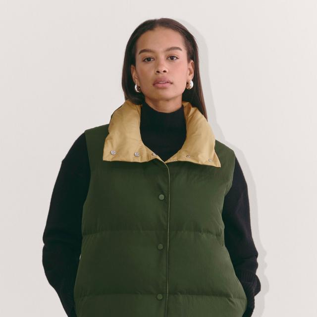 Womens Puffer Vest Coat by Everlane Product Image