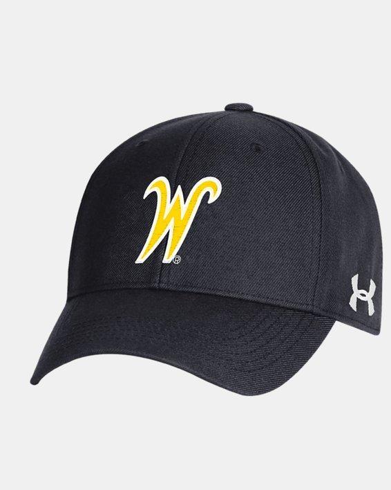 Men's UA Structured Collegiate Cap Product Image