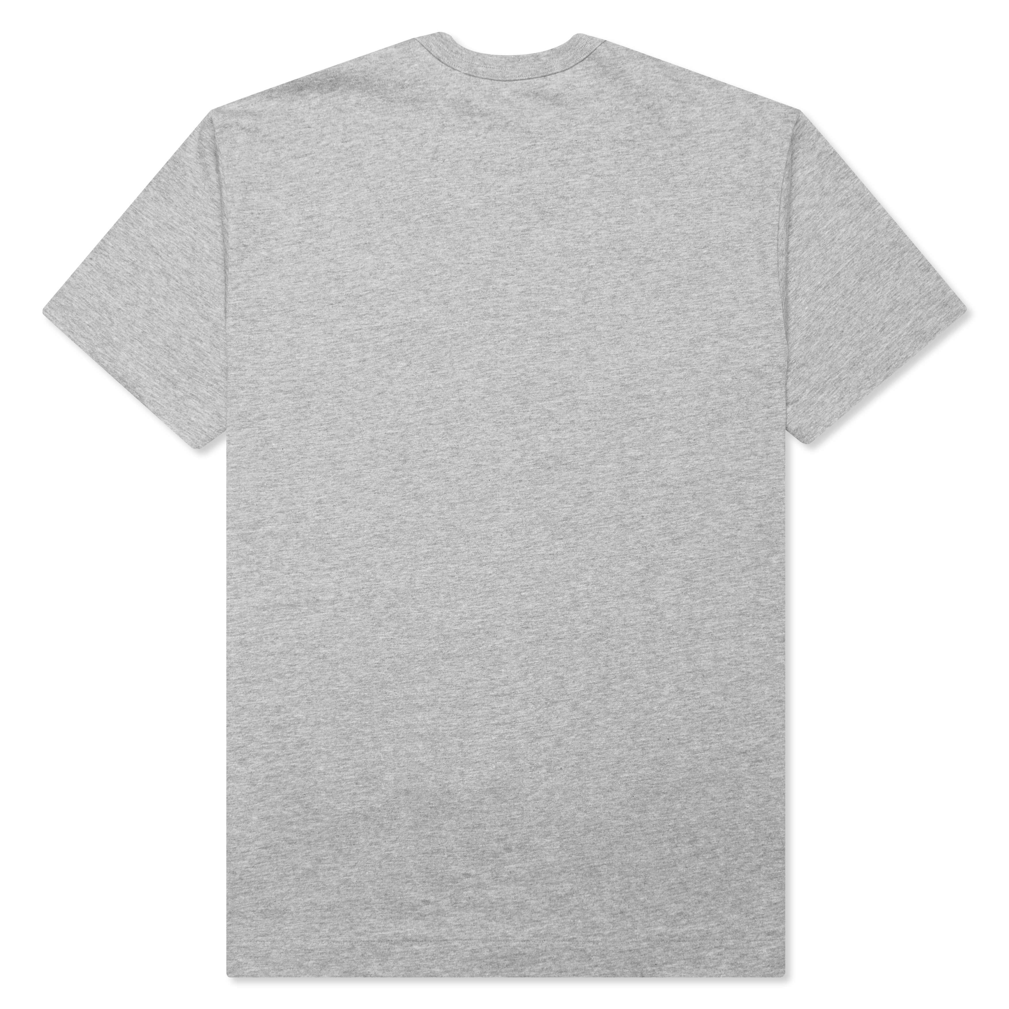 Text T-Shirt - Grey Male Product Image