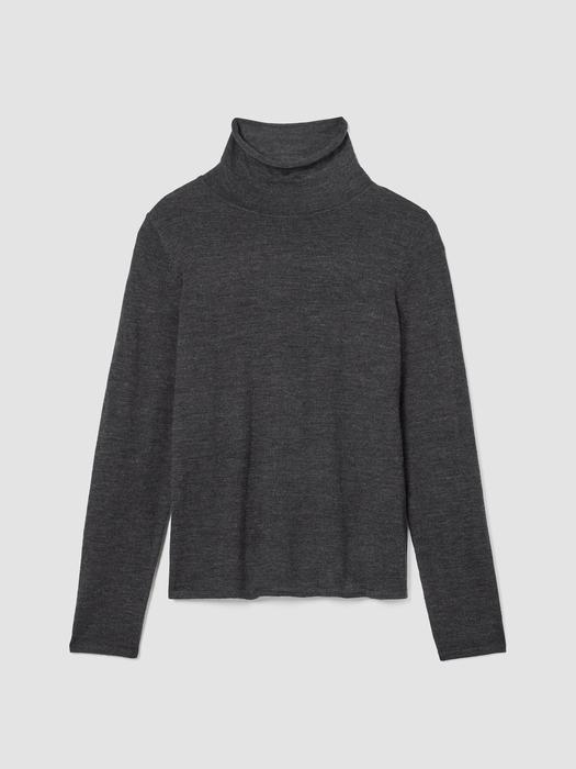 Fine Merino Turtleneck Top in Regenerative Wool Product Image