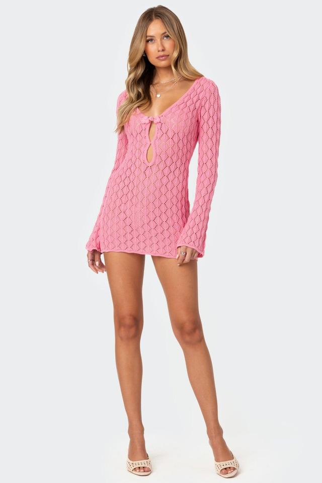 Brie Cut Out Crochet Mini Dress Product Image