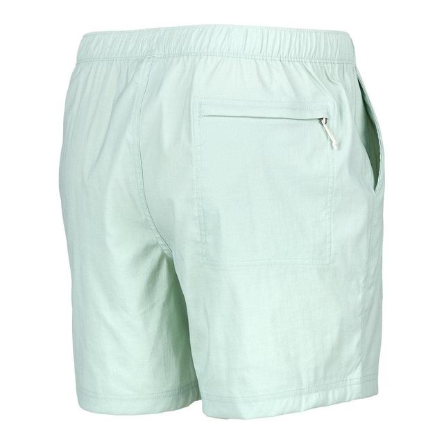 The North Face Men's Class V Pull On Short Male Product Image