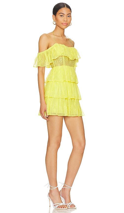 MAJORELLE Rena Mini Dress Size M, S, XS, XXS. Product Image