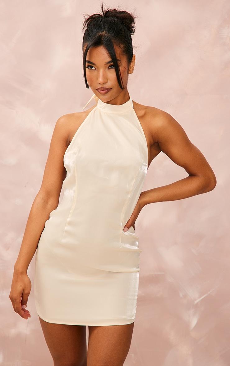 Nude Shiny Halterneck Backless Bodycon Dress Product Image