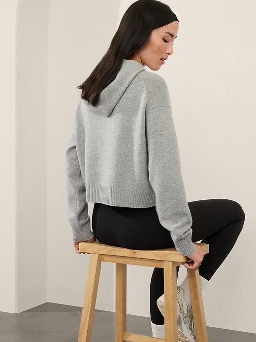 Alpine Cropped Hoodie Sweater Product Image