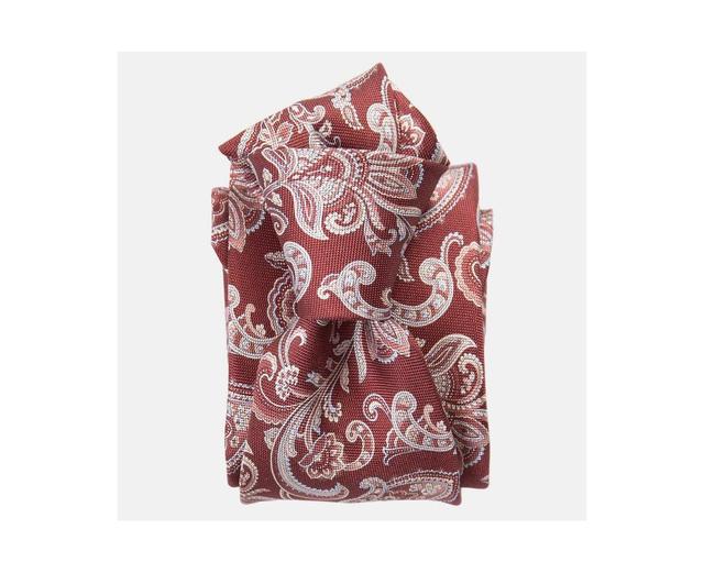 Elizabetta Mens Novara - Printed Silk Tie for Men Product Image