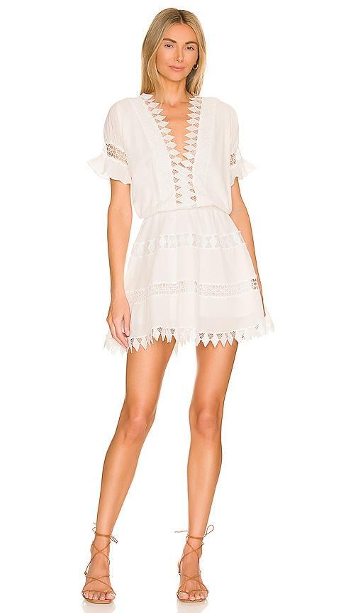 Womens Ora Embroidered Mini Dress Product Image