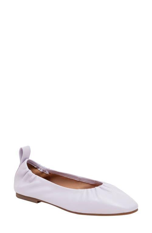 Linea Paolo Newry Ballet Flat Product Image