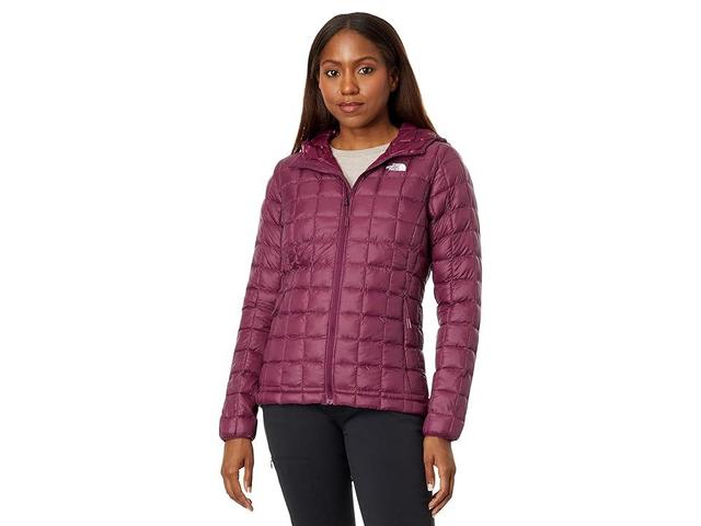 The North Face Thermoball Eco Hoodie (Boysenberry) Women's Clothing Product Image