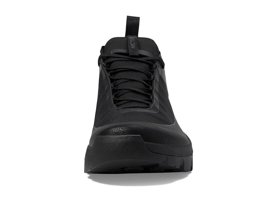 Arc'teryx Vertex Alpine GTX (Euphoria/Graphite) Men's Shoes Product Image