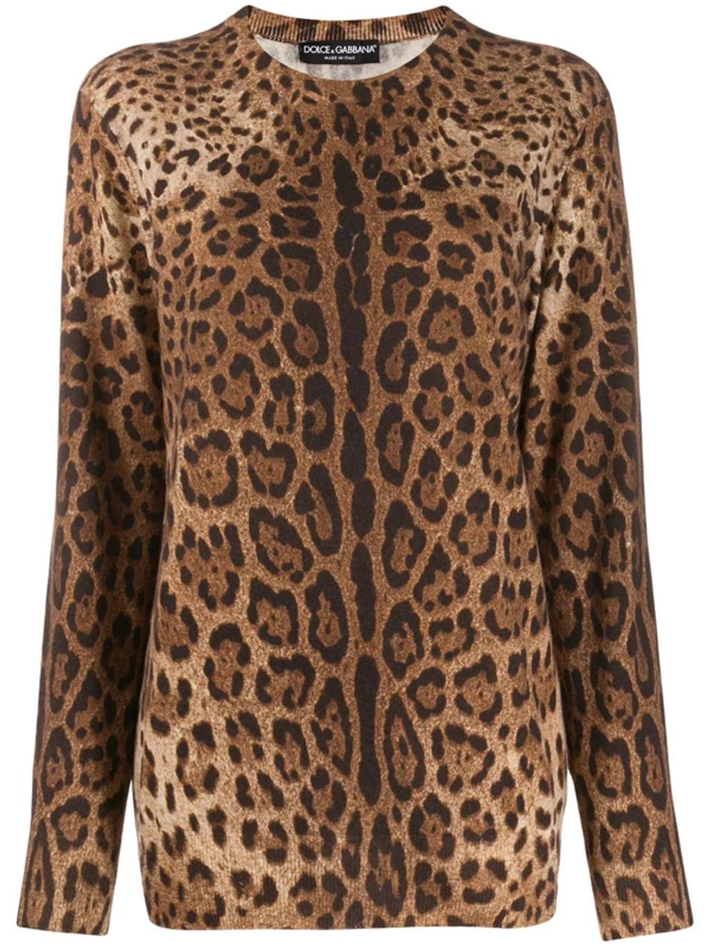 DOLCE & GABBANA Cashmere Animal Print Sweater In Multicolore Product Image