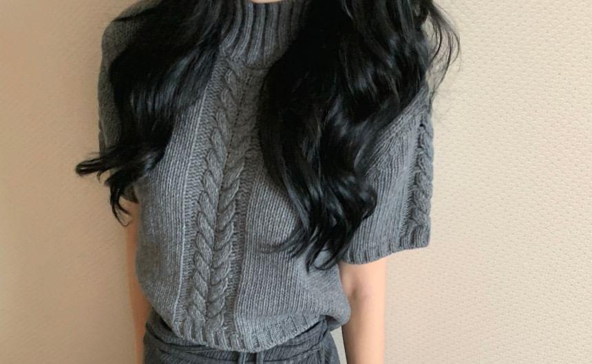 Short-Sleeve High Neck Plain Cable Knit Top Product Image