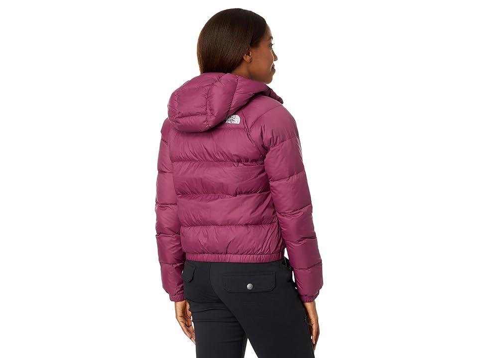 The North Face Hydrenalite Down Hoodie (Boysenberry) Women's Coat Product Image