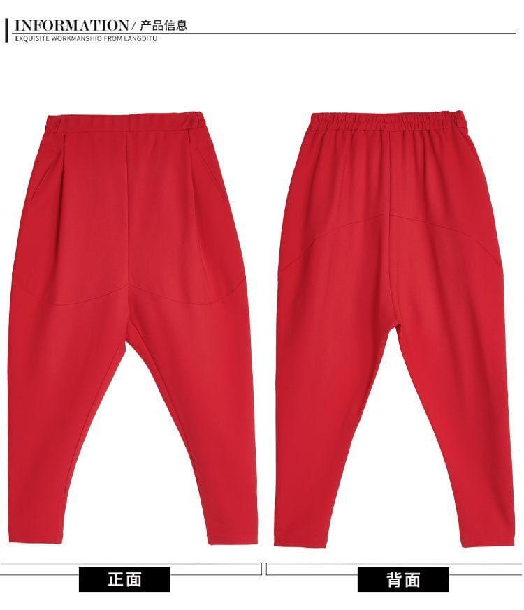 Elastic Waist Plain Baggy Pants Product Image