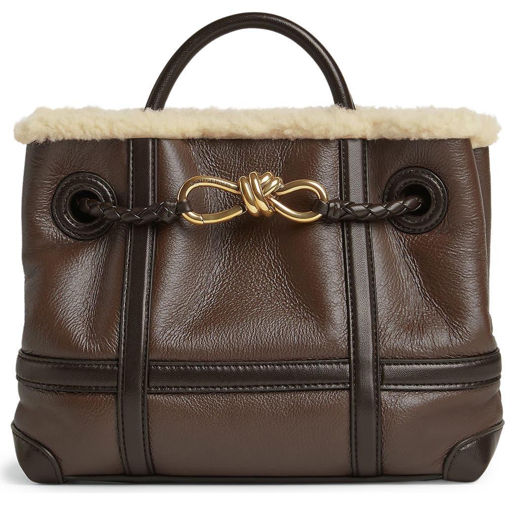 BOTTEGA VENETA Small Andiamo Merinos Aviator Bag In Brown Product Image