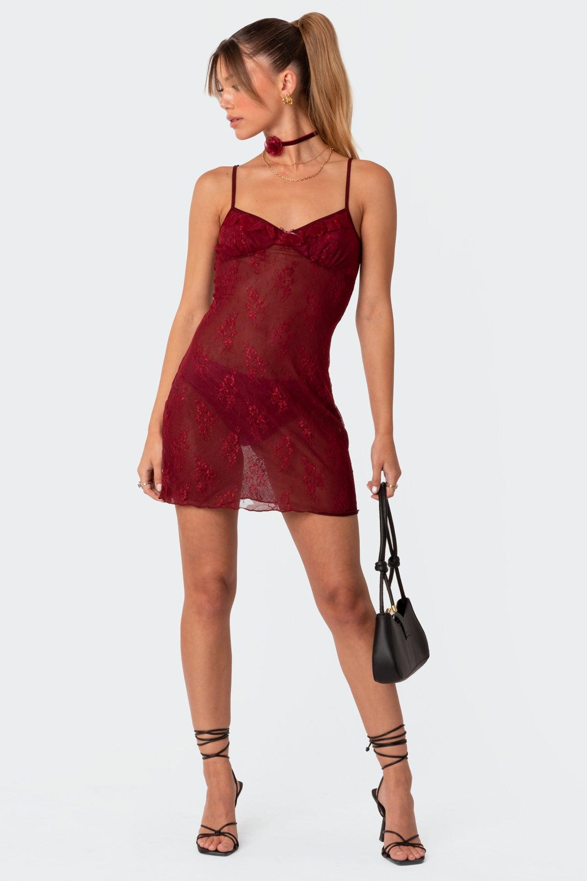 Madame Sheer Lace Mini Dress Product Image