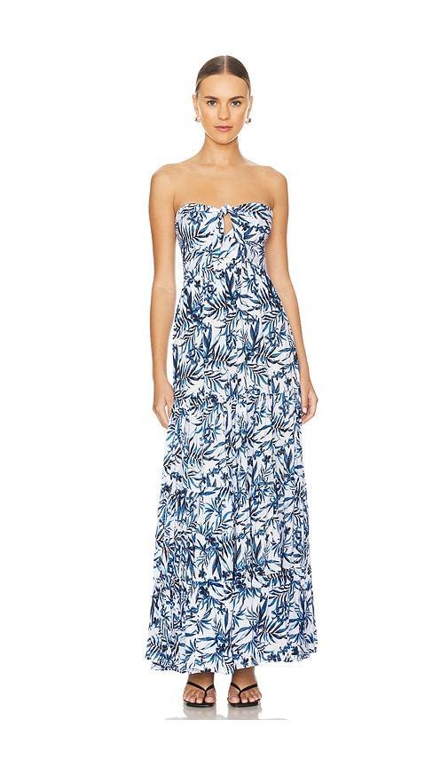 Gardenia Maxi Dress Product Image