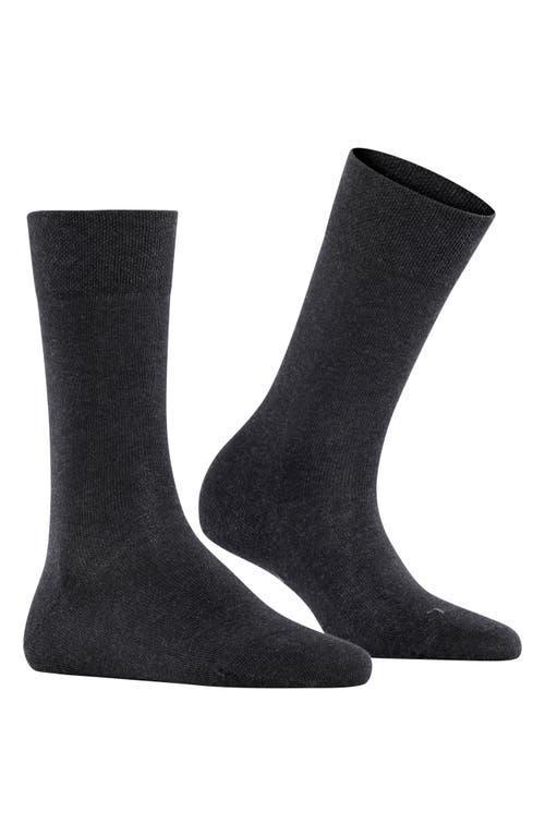 Sensitive London Crew Socks Product Image