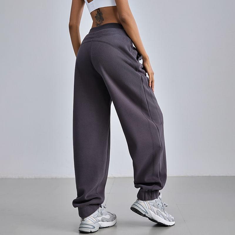 Drawstring Waist Plain Fleece-Lined Straight Leg Sweatpants Product Image