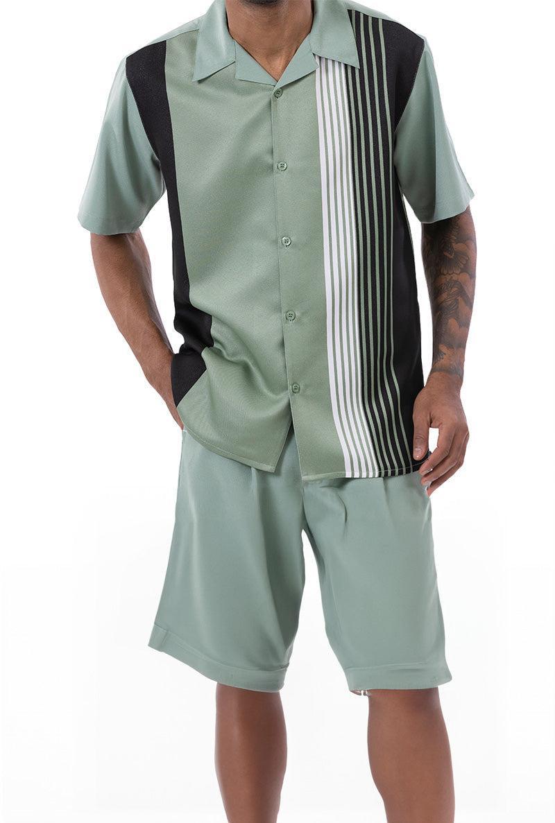 Apple Vertical Stripe Walking Suit 2 Piece Set Short Sleeve Shirt with Shorts Product Image