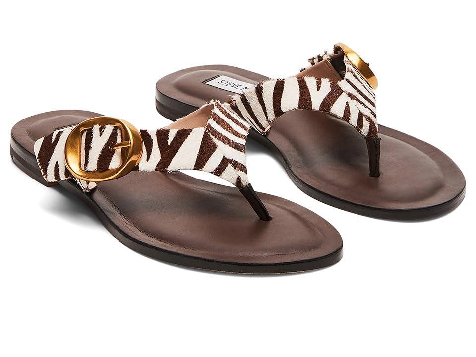 Steve Madden Rays (Zebra 1) Women's Sandals Product Image