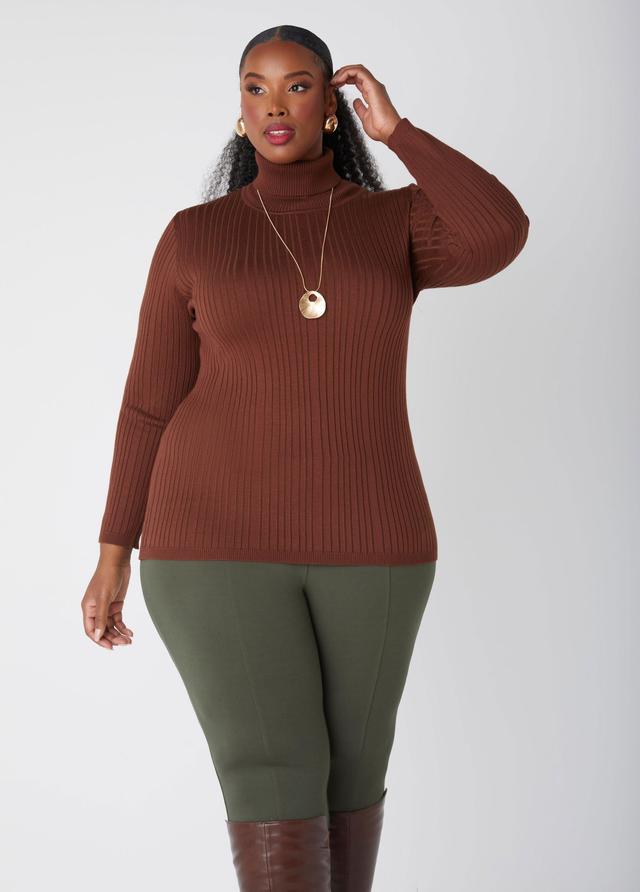 Plus Size Pullover Turtleneck Sweater Ashley Stewart Product Image