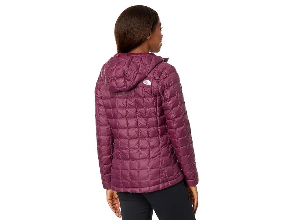 The North Face Thermoball Eco Hoodie (Boysenberry) Women's Clothing Product Image