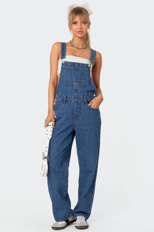 Rosemary Denim Overalls Product Image