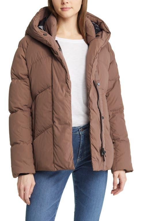 Womens Marlow Jacket Product Image