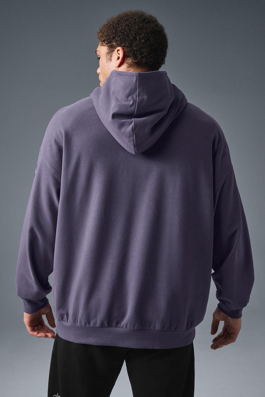 Double Take Hoodie - Italian Plum Male Product Image