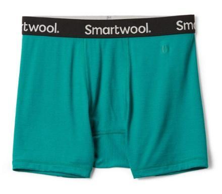 Boxer Briefs - Men's Product Image