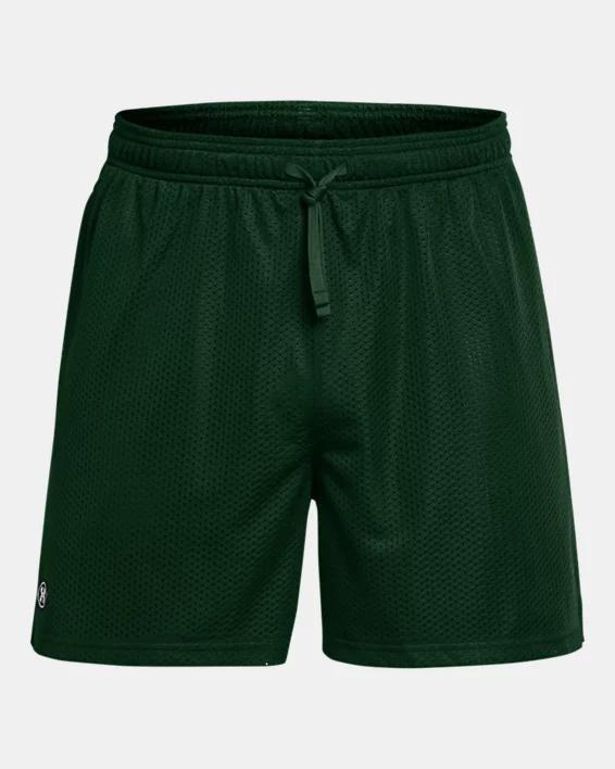 Men's UA Icon Mesh Shorts Product Image