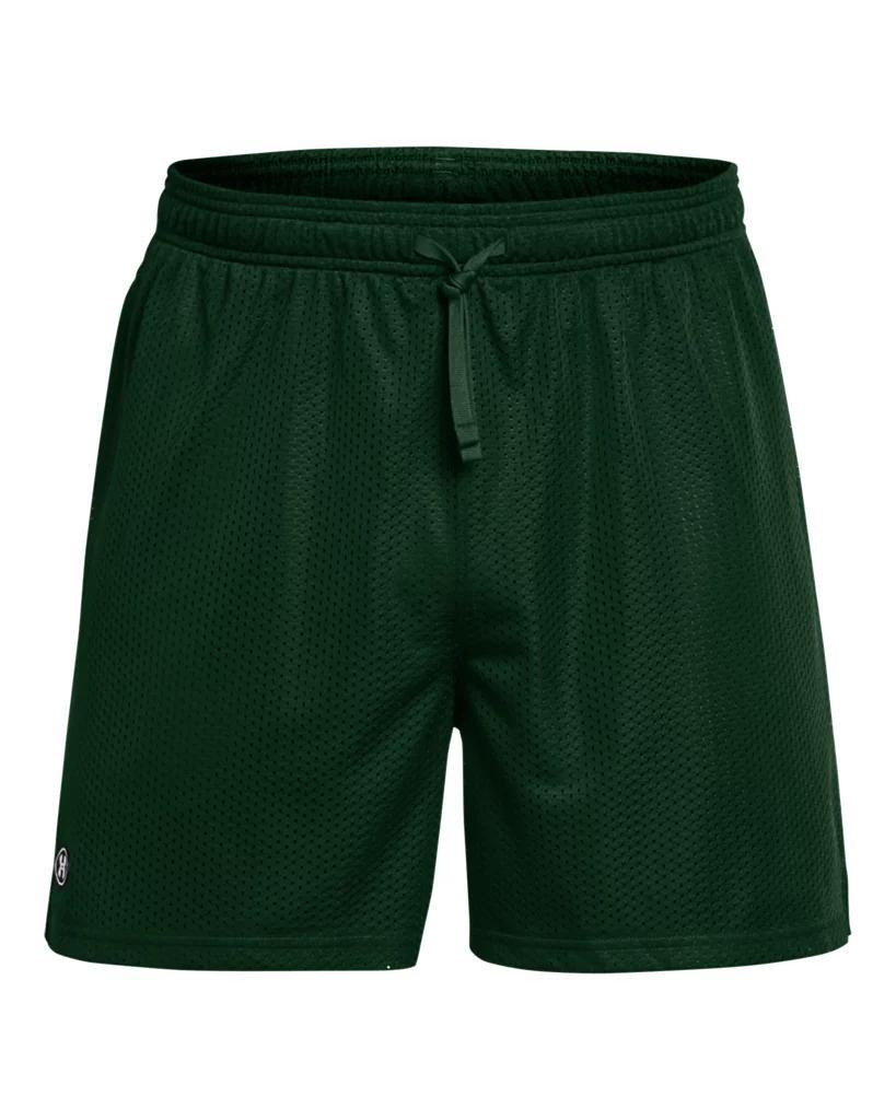 Men's UA Icon Mesh Shorts Product Image