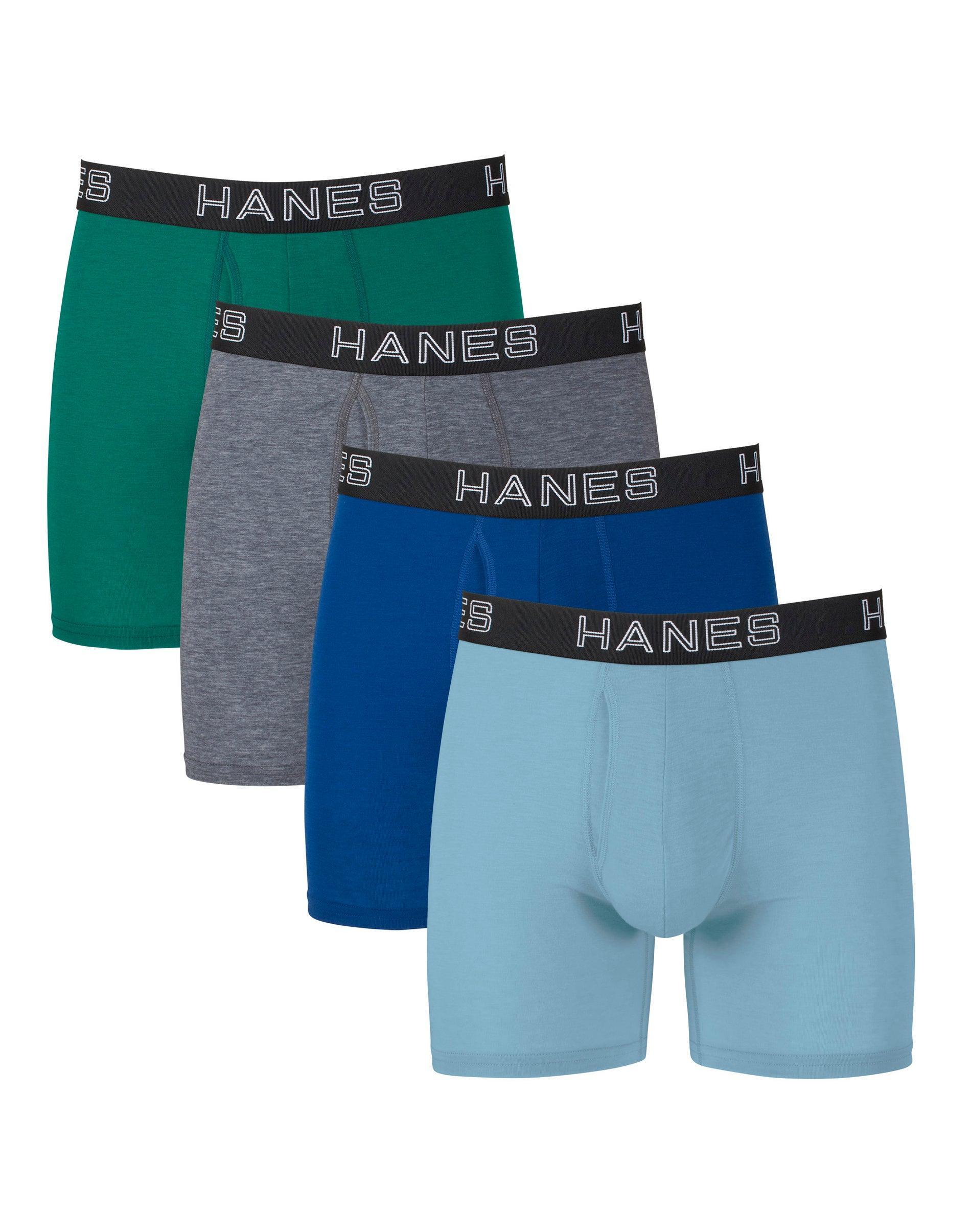 Mens Hanes 4-pack Ultimate Comfort Flex Fit Total Support Pouch Boxer Briefs Product Image