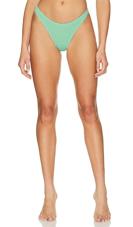 Scene Brief Bikini Bottom Product Image