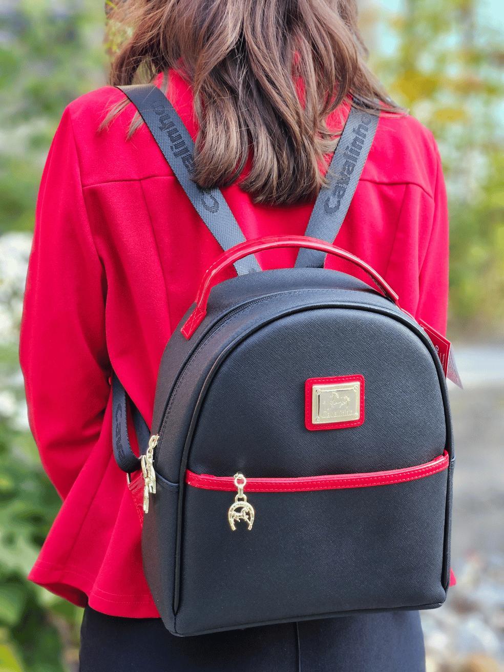 Deluxe Backpack Product Image