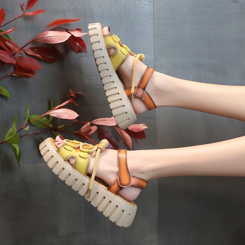 Platform Color Block Sandals Product Image