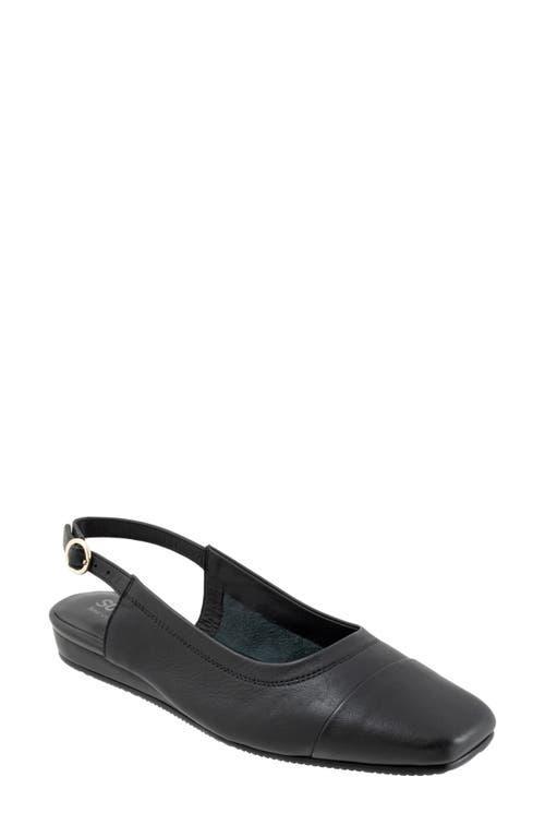 SoftWalk Vittoria Women's Flat Shoes Product Image