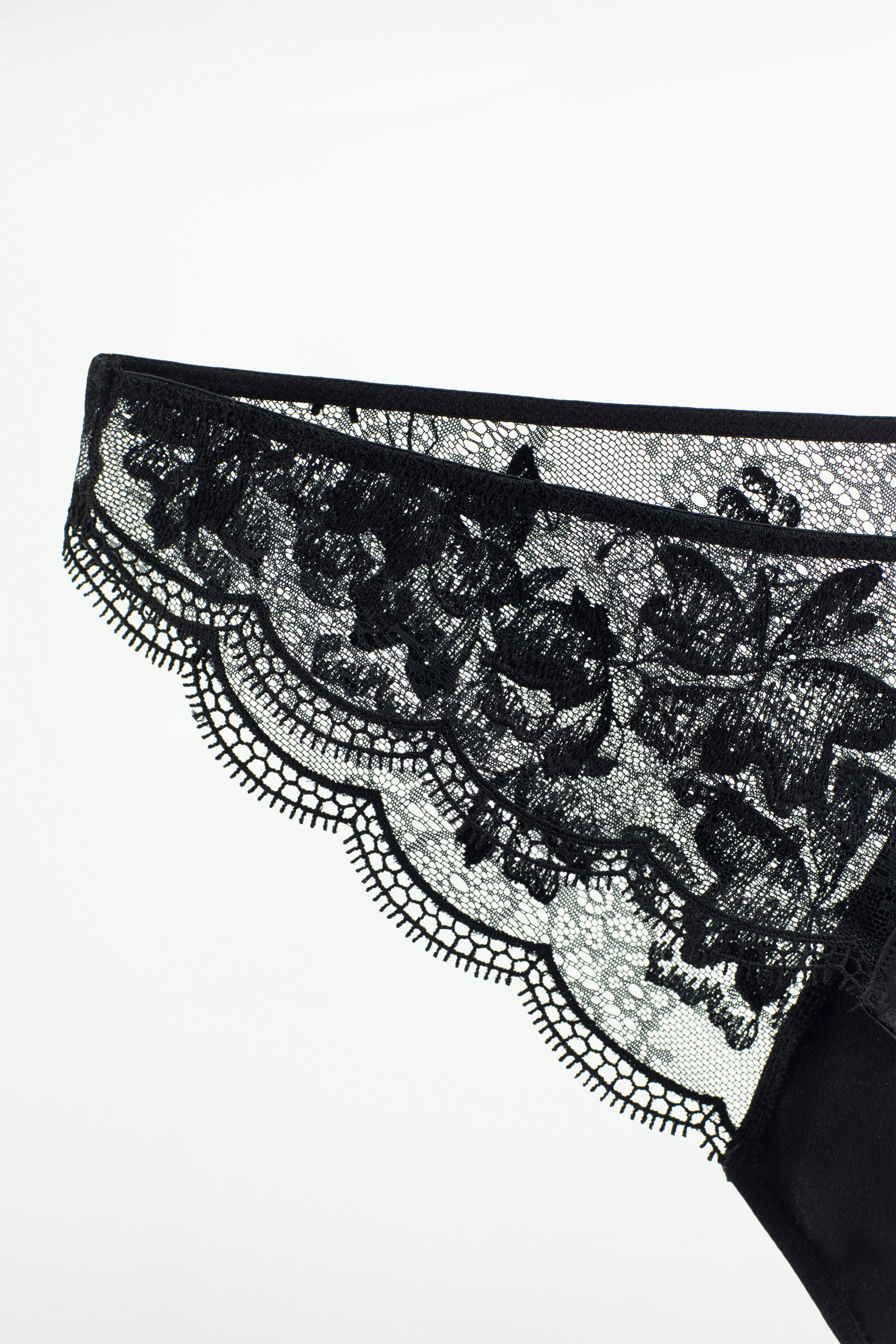 EMBROIDERED LACE PANTIES Product Image