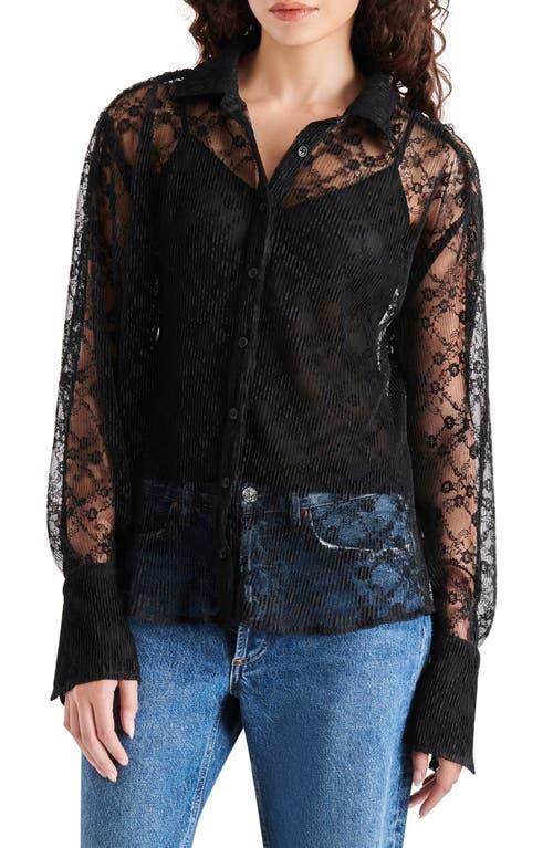 Steve Madden Dawson Top Women's Clothing Product Image