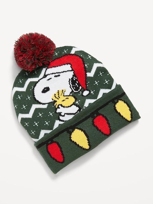 Licensed Pop Culture Pom-Pom Beanie Product Image