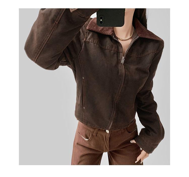 Collar Padded Zip Jacket Product Image