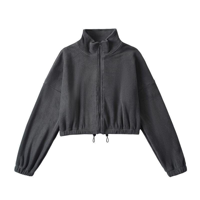 Stand Collar Plain Zip Up Fleece Jacket Product Image