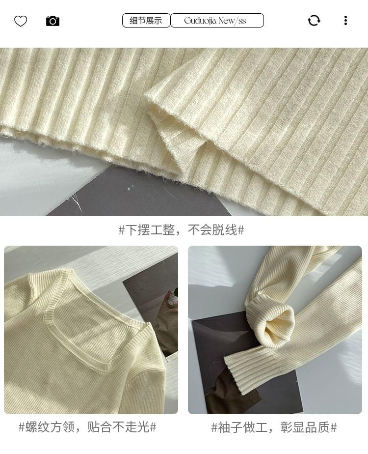 Long-Sleeve Crew Neck Plain Ribbed Knit Top Product Image