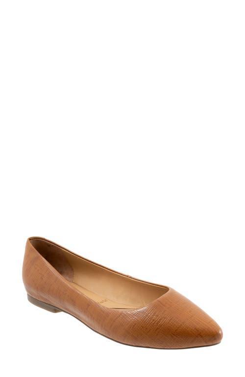 Trotters Estee Ballet Flat Product Image