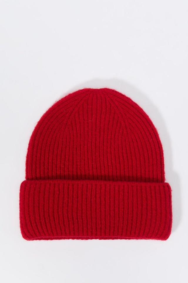 Ribbed Knit Beanie Female Product Image