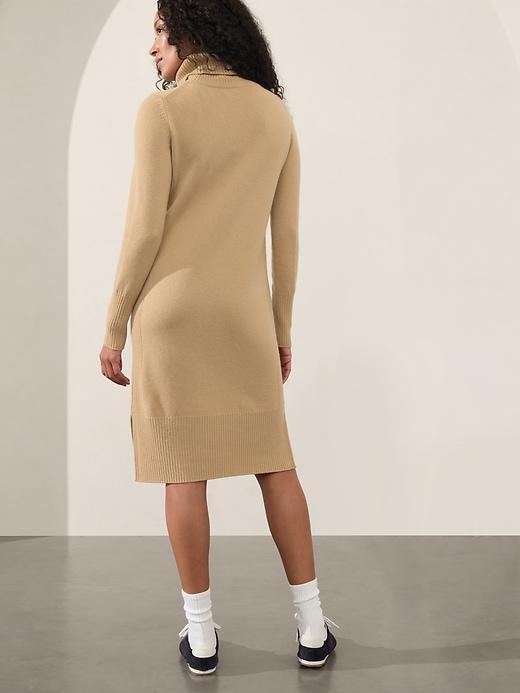 Alpine Turtleneck Sweater Dress Product Image