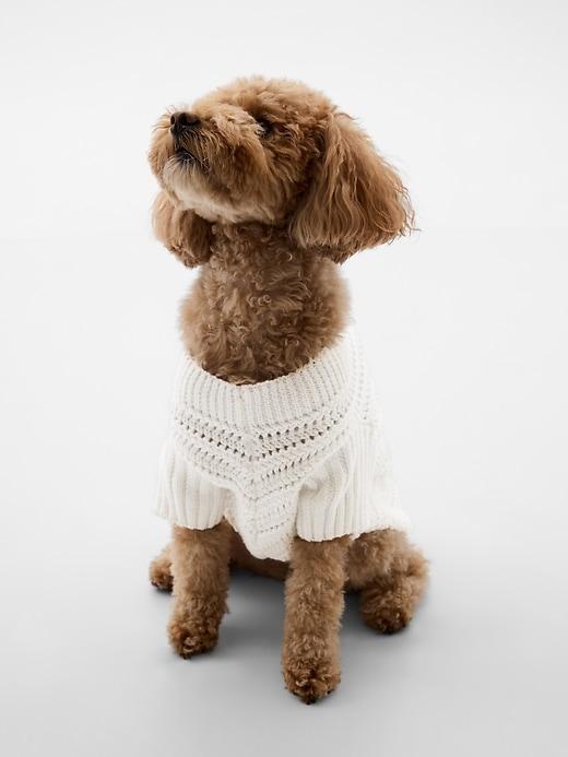 Crochet Pet Sweater Product Image